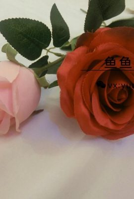 Yuyu Miao S – ローズ 100 元ポートフォリオ (58P)