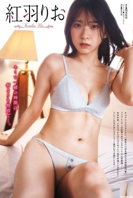 [紅羽りお] 超美形とセクシーインデックス(16P)