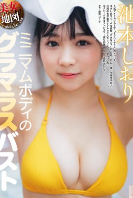 (池本しおり) 色白チンポは見るだけで鼻血が出そうなほど丸くて大きい(14P)