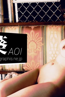 (Graphis) 葵「A」(116P)