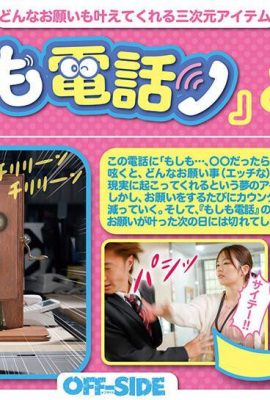 もしも電話 どんなお願いも叶えてくれる三次元アイテム 「もしも…」「もしも、もし… (21P)