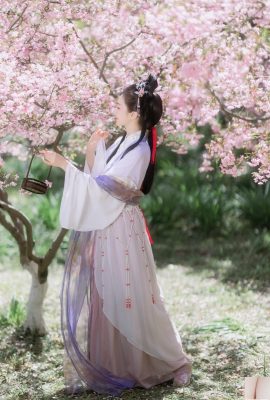 Haitang Chun Jingshu（26p）
