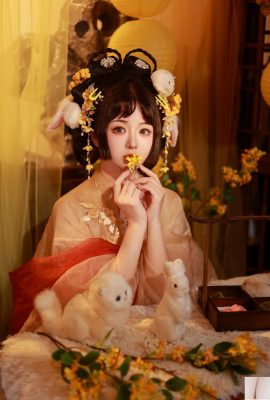 首相祭り（27p）の不自由なhehe meow