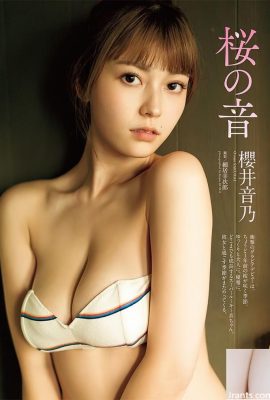 明けましておめでとうございます〜さくらの女の子の優雅な姿（68p）をご覧ください