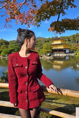 「nancy_li」妖精は地球に降りて、無敵の姿を持っていた（21p）