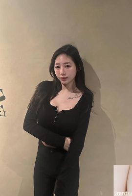 「フェイ」は妖精の精神に囲まれています（10p）