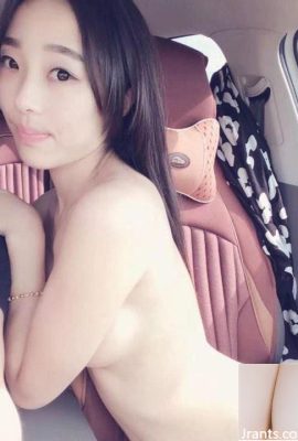 車のショックで遊ぶのが好きな女の子（12p）