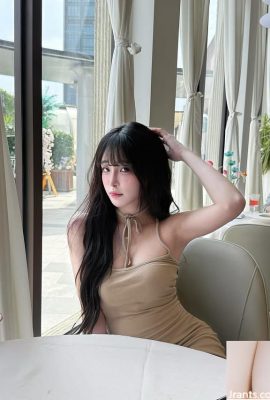 「ヒューヒックス」は、どのようにふっくらした体を撃ってもよさそうだ（11p）