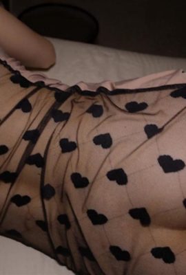 （自己写真）彼の猫でいっぱいになることをいとわない（16p）