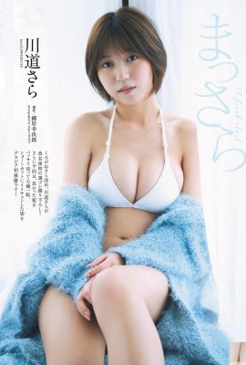 （カワダオ）白、甘い、超新鮮で心臓ポンド（11p）