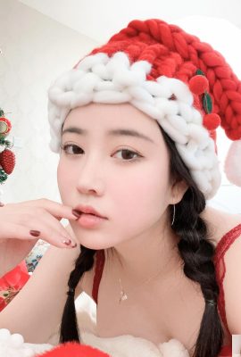 （国家モデルの人体） 年年メリークリスマス（41p）