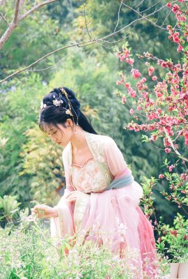 （中国のモデルセット写真） 年年「ベゴニアフェアリー」（84p）