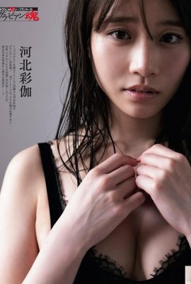 （hebei caijia）熱い女神の目は魅力的でセクシーです（10p）