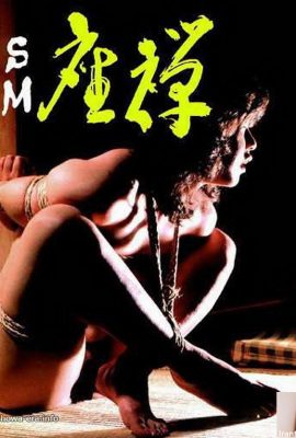 阿部千恵(Chie Abe)Porn star in Ura-Books SM 座禅 (38P)