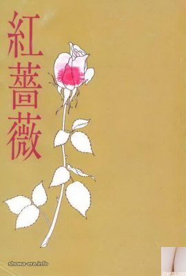 Ura-books Red Roseのポルノスター（59p）