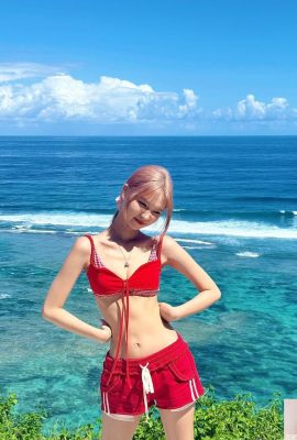 「チェスナット」はスケールと前面と背面の膨らみを壊します。これは明らかに魅力的です（10p）