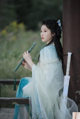 トゥーンフィッシュへの剣の妖精の旅（22p）