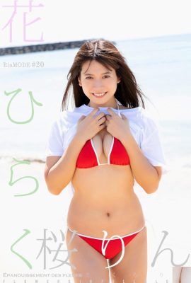 (桜凛) 美少女は白くて肌が柔らかくてツルツルで美味しい(29P)