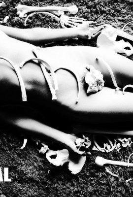 (王東作品) WANIMAL Tumblr 写真 (123 枚) (32P)